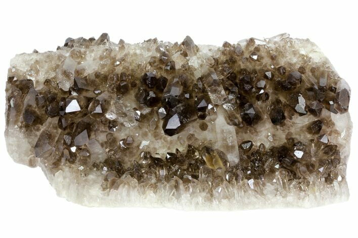 Gorgeous, Smoky Quartz Crystal Cluster - Brazil #79937